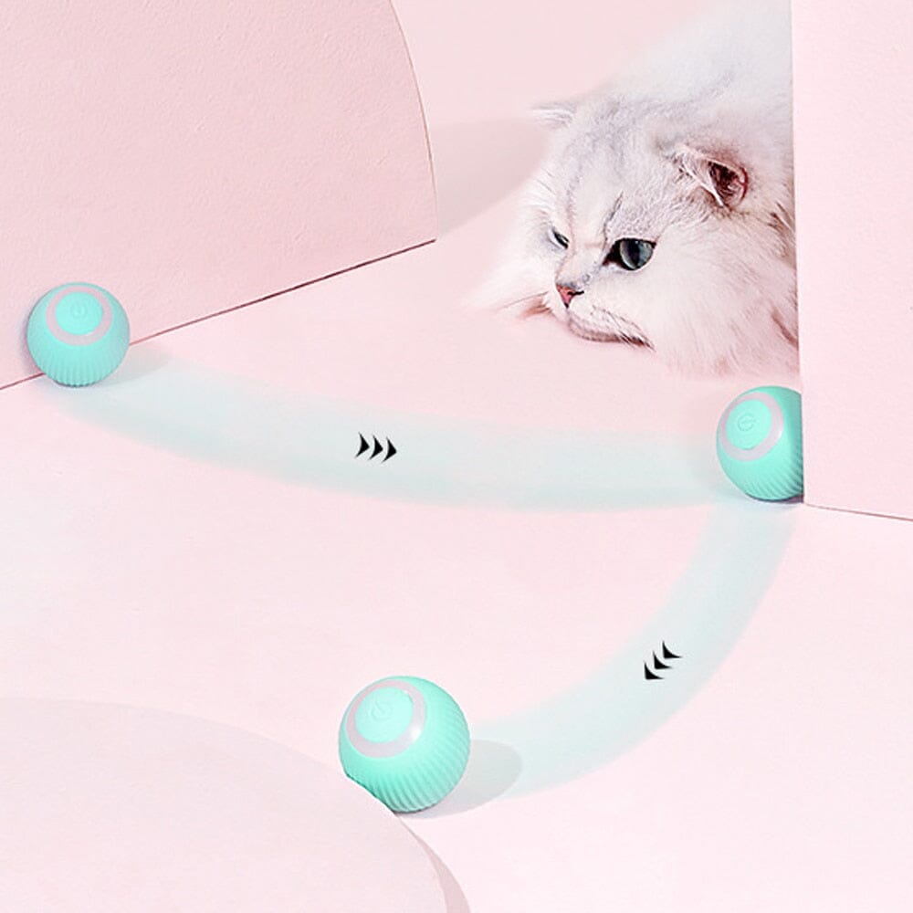 AutoBall™ - Jouet électrique interactifs pour chats - Chatmuze