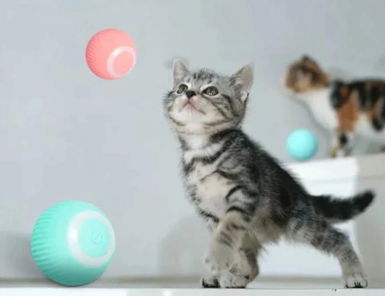 AutoBall™ - Jouet électrique interactifs pour chats - Chatmuze