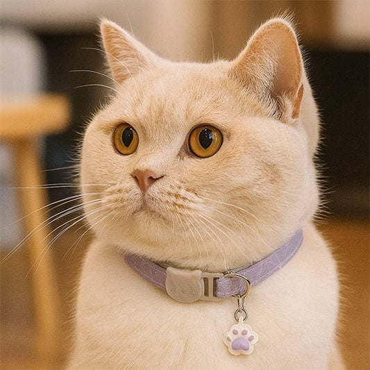 Collier chat | avec clochette et empreinte - Chatmuze
