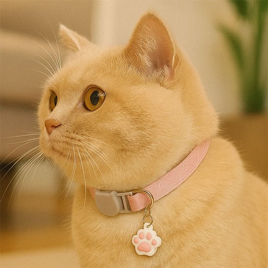 Collier chat | avec clochette et empreinte - Chatmuze