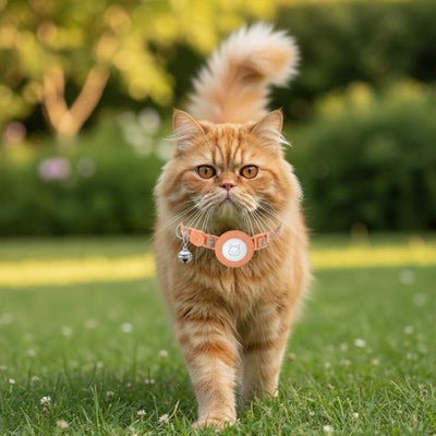 Collier GPS chat | pour AirTag - Chatmuze