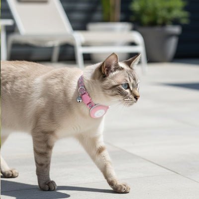 Collier GPS chat | pour AirTag - Chatmuze