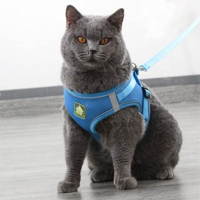 Harnais chat | Respirant et Anti - Fuite - Chatmuze